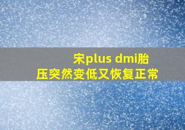 宋plus dmi胎压突然变低又恢复正常